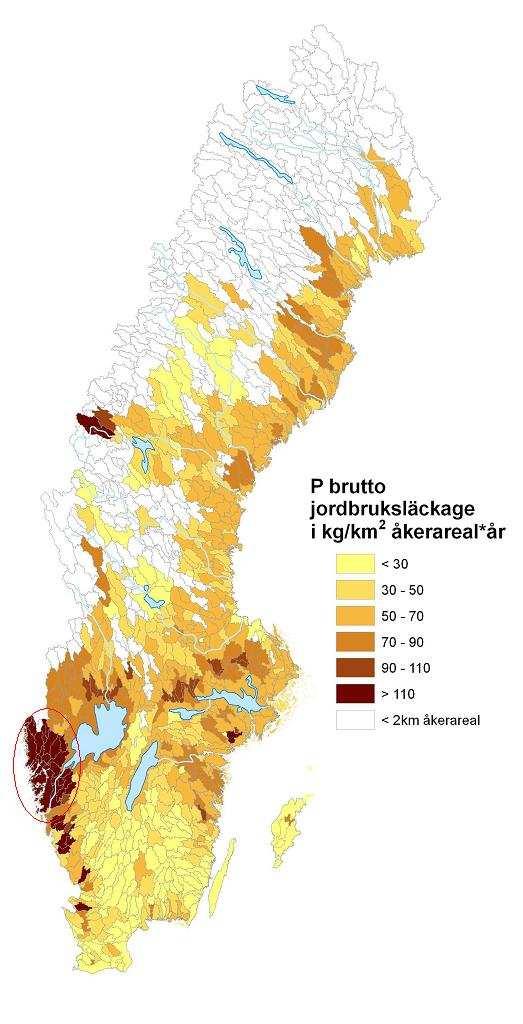 Verifiering av läckagekoefficienter i läckageregionregion 9 Resultat av PLC5-beräkningar med avseende på areellt P-läckage från jordbruksmark visade på höga värden i stora delar av läckageregion 9