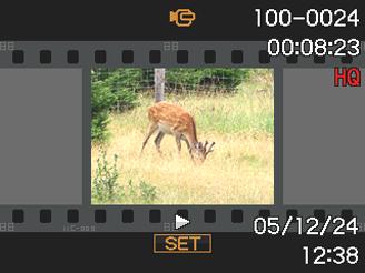 AVSPELNING Avspelning och redigering av en film Avspelning av en film Gör på följande sätt för att avspela en film som spelats in med denna kamera. 1.