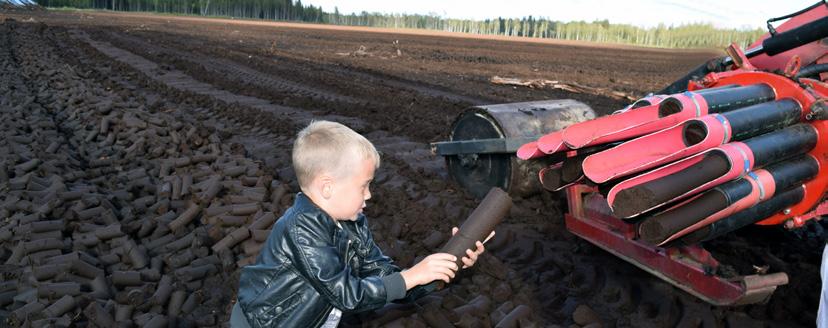 Forskningsrapport om samförbränning TorvForsk har finansierar en forskningsrapport om torv och sameldning.