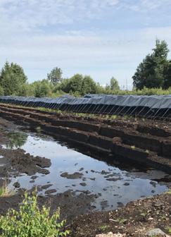 Produktion i fem steg Sedan i våras pågår ett försök med produktion av blocktorv på Södras torvtäkt i Kåramåla fem kilometer väster om Linneryd.