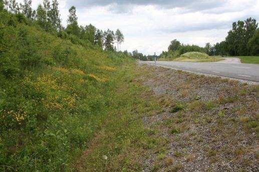 15. Blidsberg-Trädet Sida av vägen Längd BESKRIVNING Skötselstatus Klass 1- arter Väster 289 m Lång slänt och bred skärning vilket sammantaget ger en stor yta.