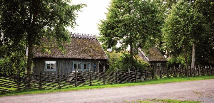 Vårens program 2018 Vi samarbetar med Reumatikerna om vårens program