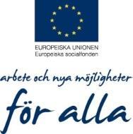 Bilaga 3; Slutrapport-ESF projekt Lika villkor; Projekt Lika villkor