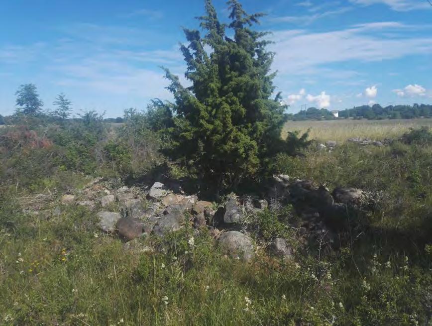 9. Röse. 6x3 meter, N-S riktning, höjd ca. 0,5 meter. Bestående av gråsten, som störst 0,5 meter och ner till 0,1-0,15 meter. Tydlig avgränsning mot resten av ytan. Oval. Ser ut att ha mittgrop på ca.