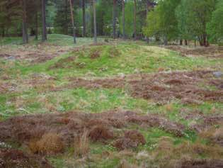 spännbuckla. Föremål som ger datering till vendeltid vikinga tid. Vid detta tillfälle undersöktes även en yta som tolkats vara en mesolitisk stenåldersboplats ( Åkerström 1973 ).