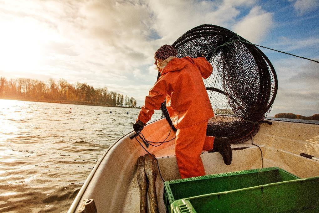 Småskaligt enligt MSC: 1. Fartyg: Genomsnitt < 15m, eller inga fartyg 2.