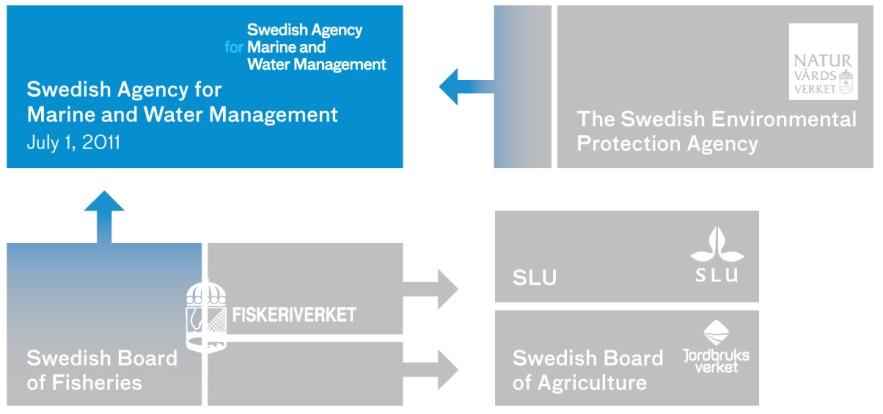 SwAM SwAM is part of the Ministry of the Environment Provides supporting documentation about fishing issues for the Ministry for Rural Affairs Started operations July 1, 2011 Is implementing a