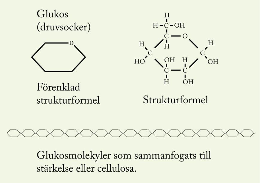 Kolhydrater (socker) Energi!