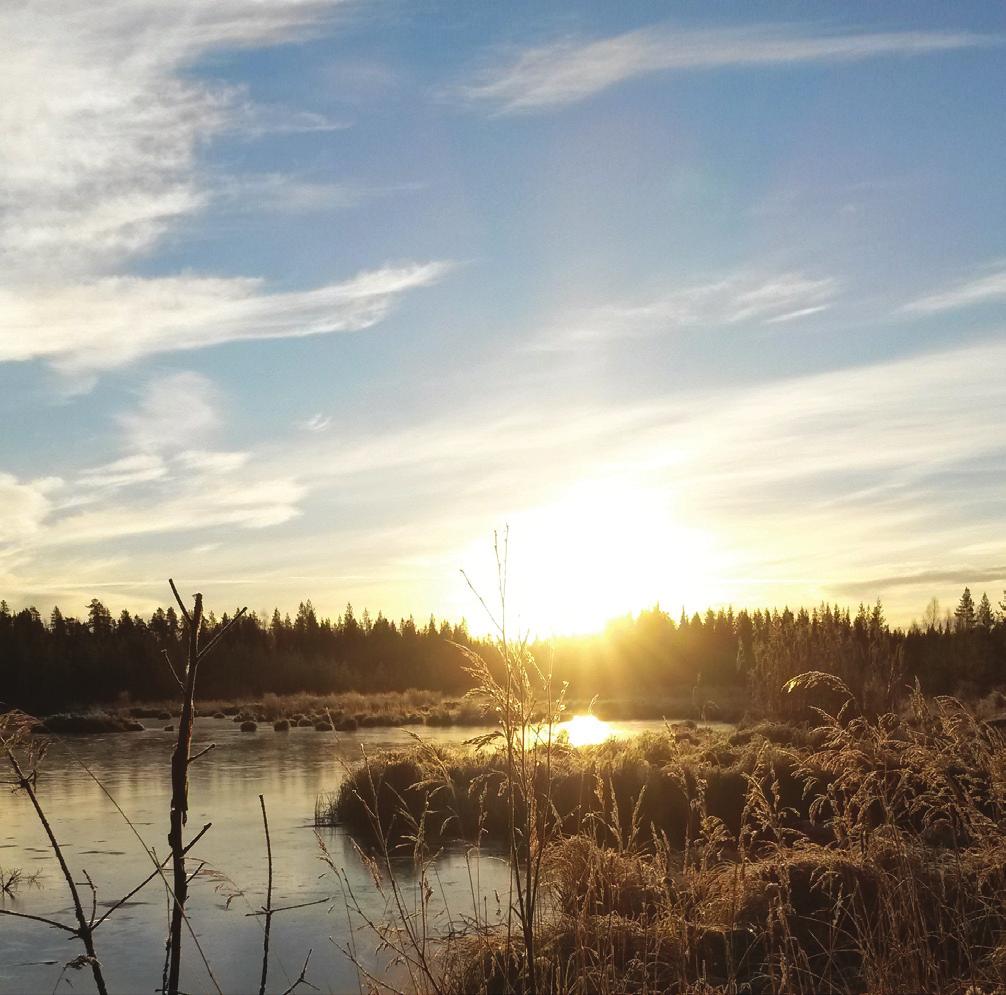 Byggherren ska utreda hur dagvatten ska hanteras och ge förslag på åtgärder utifrån dagvattnets sammansättning och mängd.