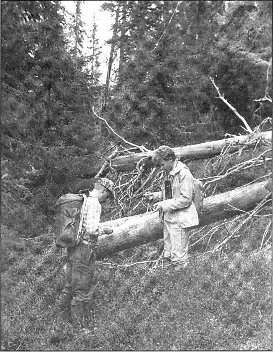 Artikelförfattaren P. Turander och Lars Hansson i "Steget före" botaniserar bland Tjåbergets lågor. Foto: Bengt Oldhammer.