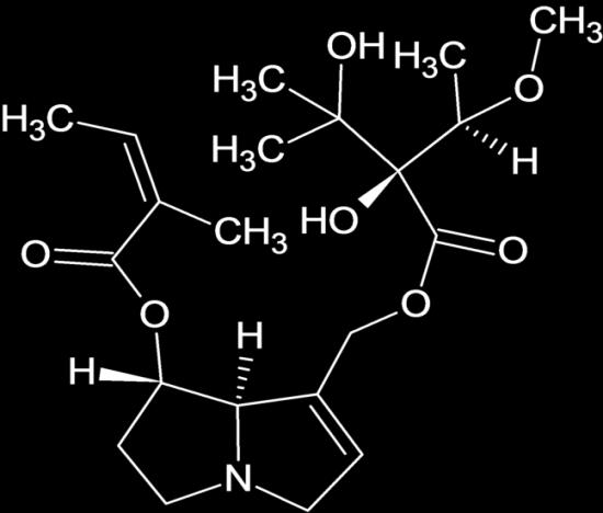 korsört, hästhov och vallört Akut levertoxiska och potentiellt carcinogena PA har