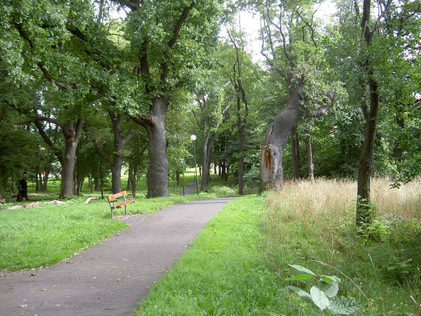 Lokalbeskrivningar Krokängsparken är en stor och varierad park bestående av en central höjd med berg i dagen, ljunghed och krattskog.