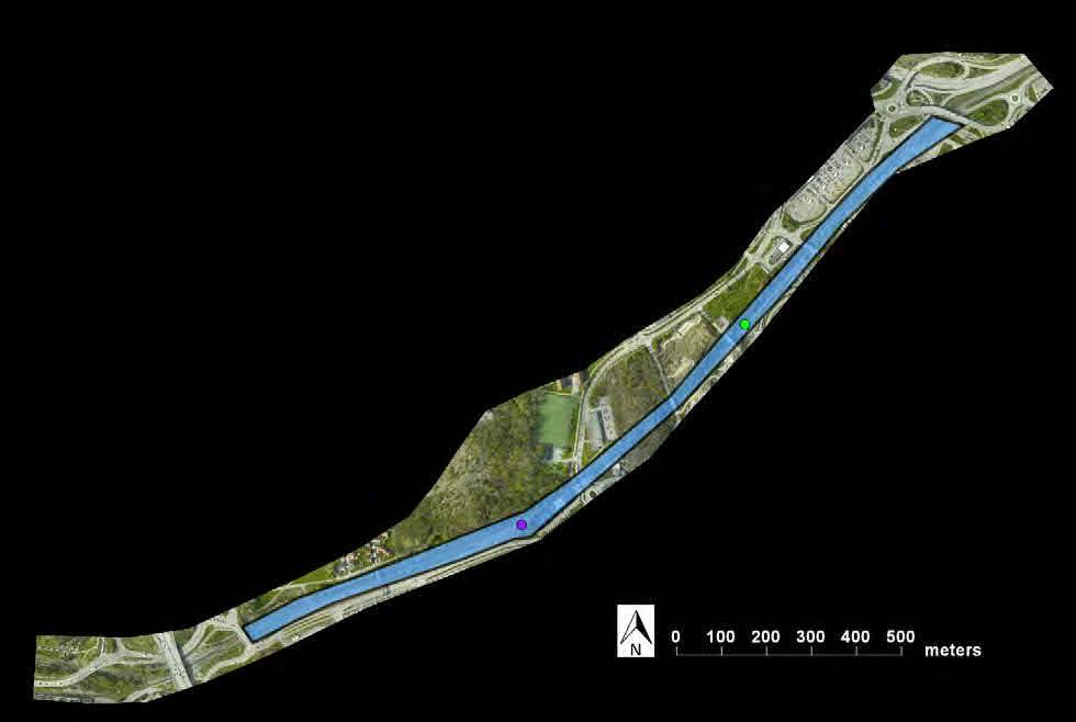 Hamnbanan - naturvärden Naturcentrum AB 2013-11-05 Området fältinventerades 13 och 19 augusti 2013, och då koncentrerades inventeringen på eftersök av kalvnos, även om andra intressanta arter