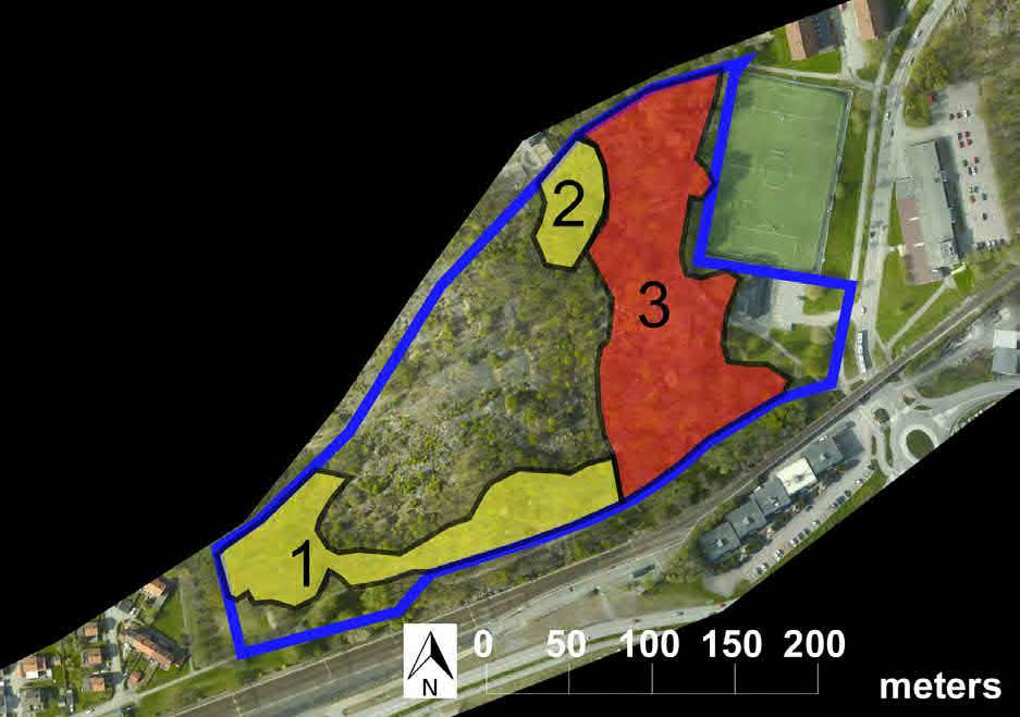 Hamnbanan - naturvärden Naturcentrum AB 2013-11-05 Karta 4. Krokängsparken. Undersökningsområdet begränsas av blå linje. Röd yta = högt naturvärde (klass 1b). Gul yta = visst naturvärde (klass 3).
