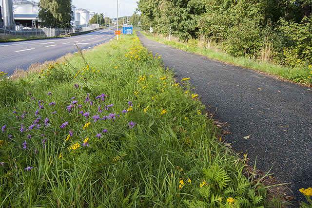 Gaddsteklar hamnbanan 2014, Naturcentrum AB Inledning På uppdrag av Trafikverket via SWECO har Naturcentrum under 2014 genomfört en kompletterande undersökning av Hamnbanan.