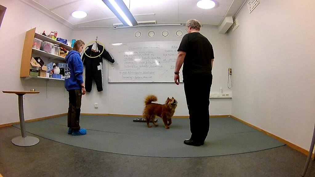 Figur 2. Testområdet. Testledaren står till vänster och den kända personen till höger. (Foto: Sara Granström) 4.