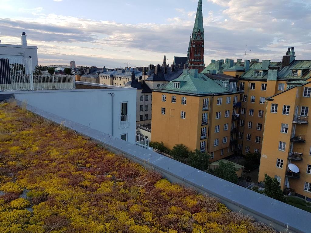 Figur 5-5. Exempel på ett grönt tak med sedum från centrala Stockholm (Geosigma). 5.5 Underhåll av dagvattenlösningar 5.5.1 Skelettjord Skelettjorden i sig kräver inget underhåll.