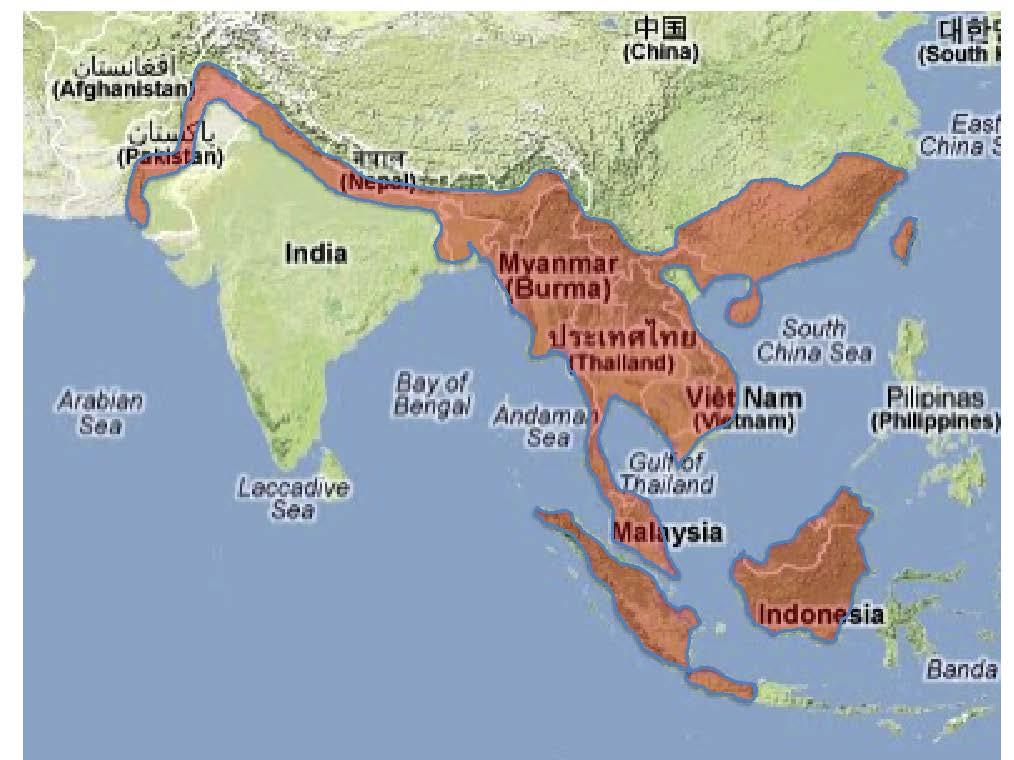 1.5 Prinia flaviventris Prinia flaviventris har ett utbredningsområde som sträcker sig från Pakistan, över norra Indien, vidare längs södra och östra Kina, Taiwan, Sydostasien och Indonesien (Figur