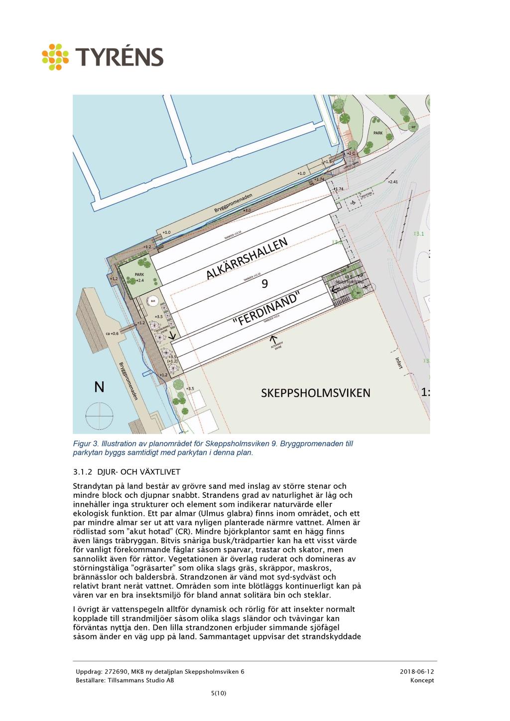 Figur 3. Illustration av planområde t för Skeppsholmsviken 9. Bryggpromenaden till parkytan byggs samtidigt med parkytan i denna plan. 3.1.
