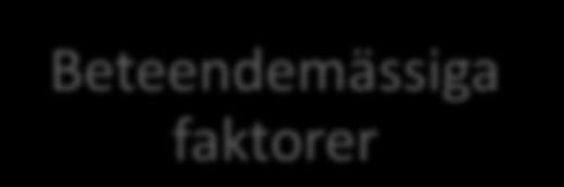 revisionspresentationen Figur 3.1 