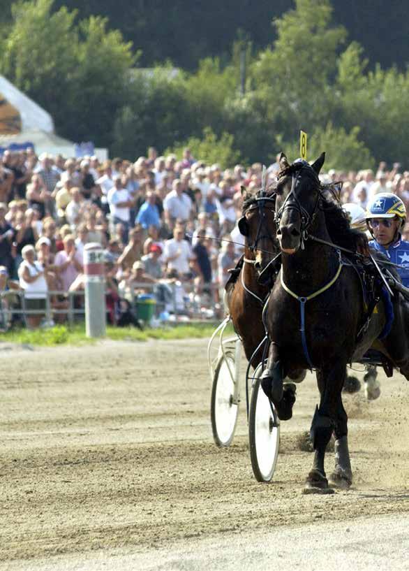 Bokning på Internet: www.jop.nu Hudik Stallion AB Järvsöfaks väg 84 94 Hudiksvall halsinge.trav@jop.nu TEKNO ODIN Avelsindex: e. Moe Odin u. Lyana e.