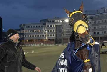 MÅNADENS HÄST Bollnästravetfebruari 018 WEST WING Vi gratulerar med segertäcke och hederspris Valack 10 år e. Steinlager Westgate e.