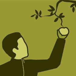 Projektnamn Projektets innehåll Tidsplan Projektarbetsgrupp 2. Tillsyn av anläggningar med konstgräs och gummibaserade ytor för lek och idrott 3.