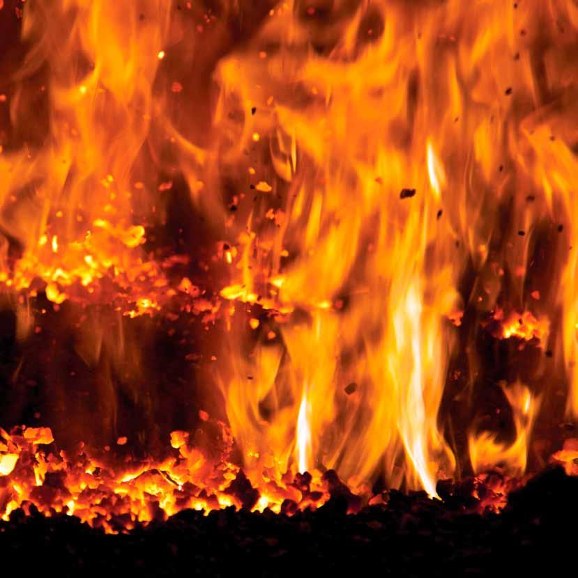 Firefly i korthet Firefly är ett svenskt världsledande brandsäkerhetsföretag som utvecklar, tillverkar och säljer högteknologiska system, vilka upptäcker och minimerar risk för bränder och