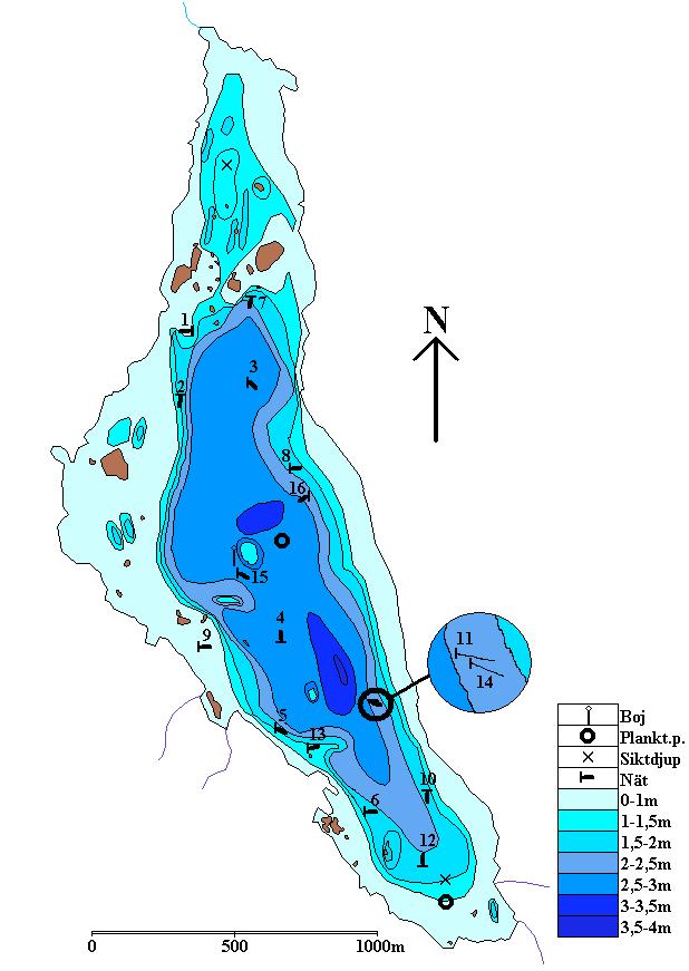 Djupkarta för Hornsjön efter karta i Berggren (1979).