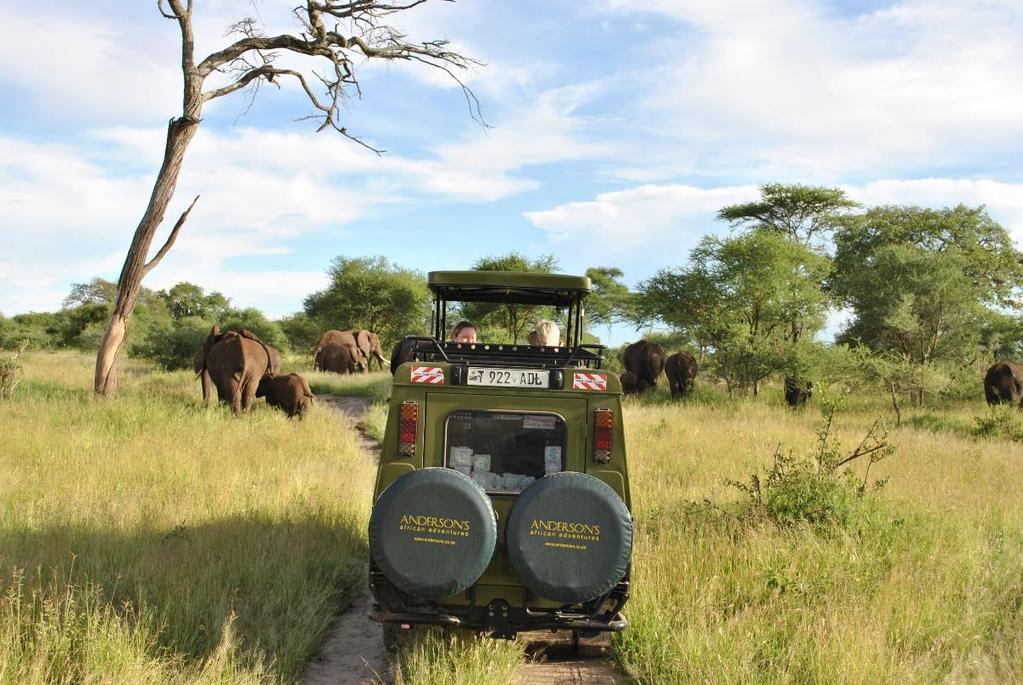 Byte i Amsterdam och vidare med nonstopflyg till Kilimanjaro Airport i norra Tanzania. KLM har den smidigaste resan till Kilimanjaro och bäst tidtabell.