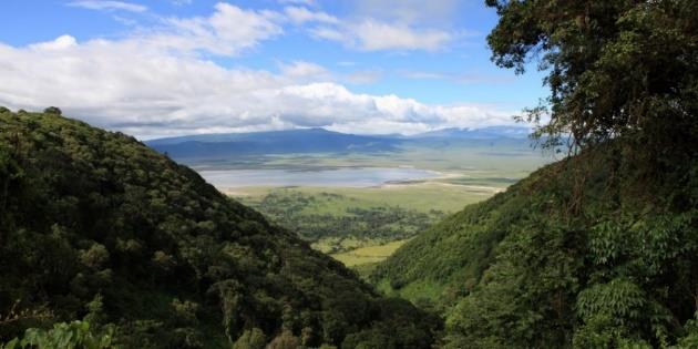 11/11 - Ngorongoro Mycket tidig frukost och resa tillbaka mot Ngorongoro ca 2 timmar och sedan heldag nere i Ngorongorokratern med picknicklunch. Ni ägnar hela dagen åt djurskådning.