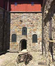 föredrag, samhällsspegeln förefaller det vara bättre att ha tunnare hjärnbark i relevanta områden.