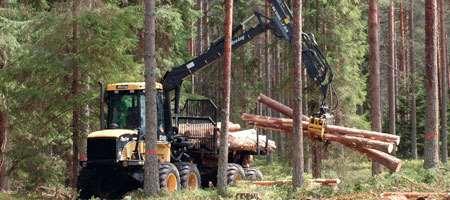 Ett ansvarsfullt skogsbruk ökar tillväxten Gallring och avverkning vid rätt tidpunkt ökar tillväxten och avkastningen för skogsägare Hela 50 % av det som avverkas blir biprodukter (grot, bakar,
