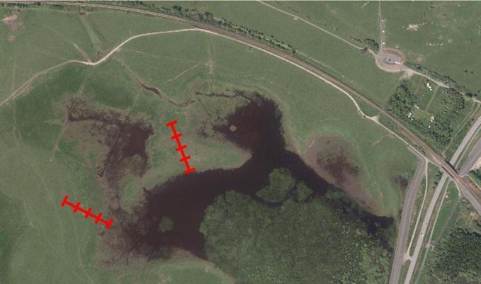 There were five pitfall traps in each transect, with m in between two traps. Aquatic invertebrates were also collected at the extension of each transect using a sweep-net.