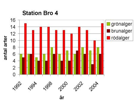 UTVÄRDERING Station Bro 4 Stationen uppvisar en förbättring vad avser artantal jämfört med tidigare undersökningar sedan 1992. Jämfört med föregående år så är skillnaden uppenbar (se diagram t h).