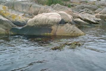 mynningen och ett största djup på drygt 40 meter.