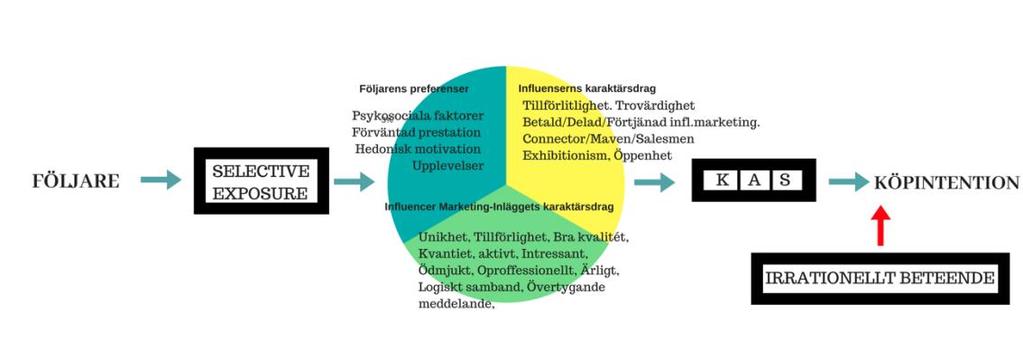 rationella teorierna ändå utsatts för kritik samtidigt som författare påpekar dess styrka kommer de att beaktas i linje med Blaus (1993, s.