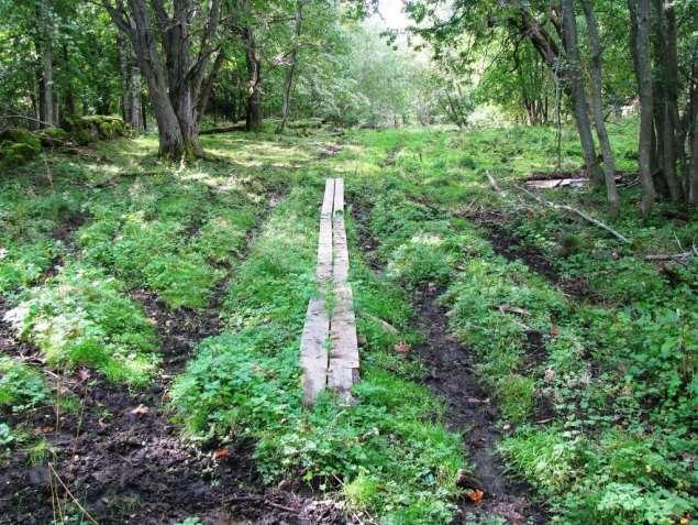 Skötselpla för aturreservatet Fågelsåge Fastställ 204 Skötselplae gäller uta tisbegräsig.