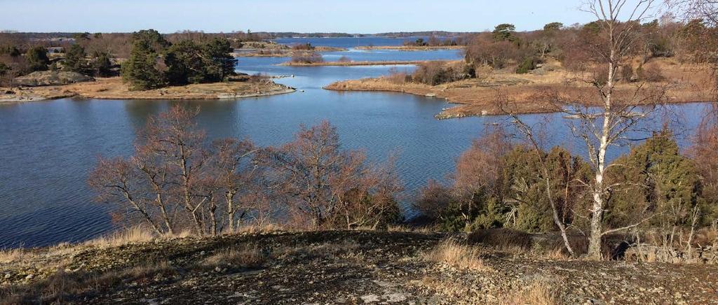 Några framtidsfrågor Socioekonomins betydelse Behovet av skärgårdsstiftelser Fritidsbåtarnas