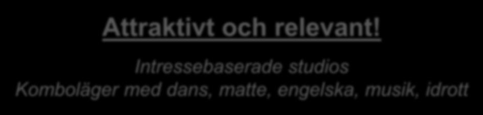 Vår strategi Alla ska ha råd! Inkomstbaserade avgifter, MÅNGA stipendier och lånedatorer Tjejer!