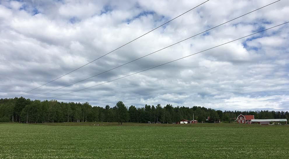 Figur 6. Bebyggelse öst om Nora. Figur 7.