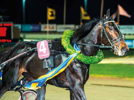 - 8: --,a 88 8 0 Tot: -- Meta di Azzurra e Windsong s Legacy rahiolo J /8 -k / 0 k 0, - - gdk Uppf: Nilsson Staffan B, amkvilla Lövgr J h /8-00, a - -