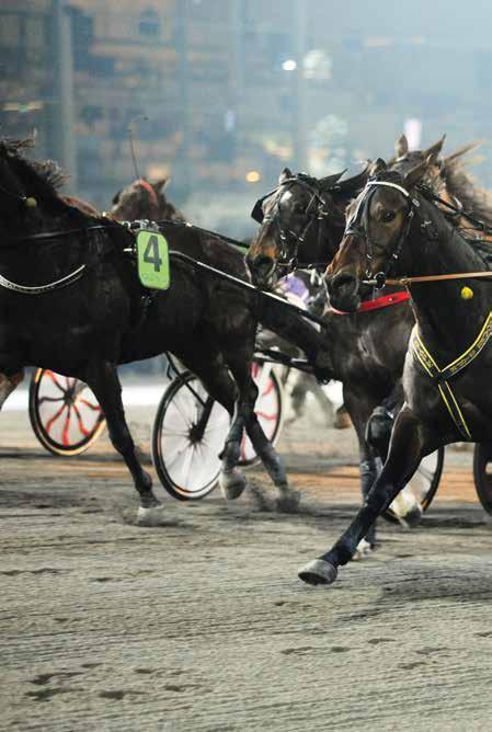 Omslaget: Svante Båth-tränade Gloal Welcome, Erik Adielsson i sulkyn, och skötar Moa Thörngr efter segern i Svsk Uppfödningslöpning 0.