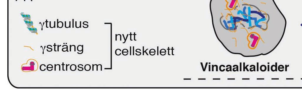 Flera av dessa behandlingar kompletterar varandra.