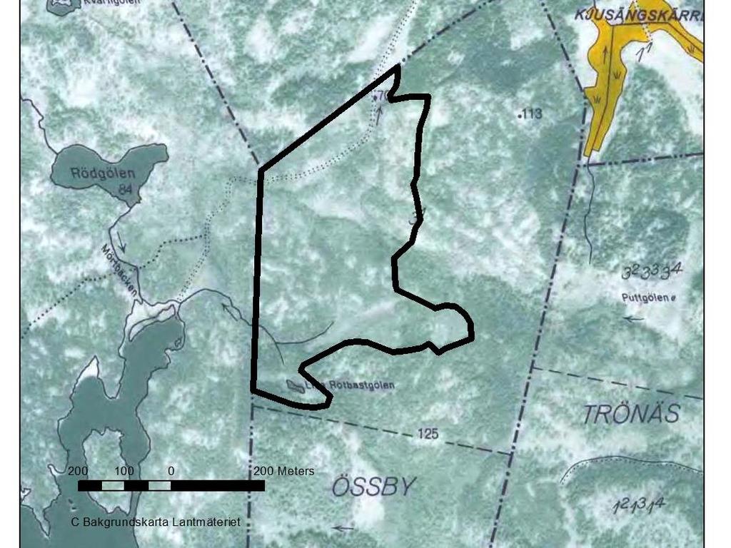 På 1940-talets karta fanns en körväg i områdets norra del, delvis genom sumpskogen.