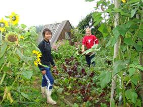 Samverkan mellan skola och lantbruk vilka erfarenheter finns? 2004 till 2014 har utsetts av FN som decenniet för lärande om hållbar utveckling.
