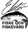 Fiskundersökningar i Tommarpsån 2011 Österlens Vattenvårdsförbund Eklövs Fiske och Fiskevård Anders Eklöv Eklövs