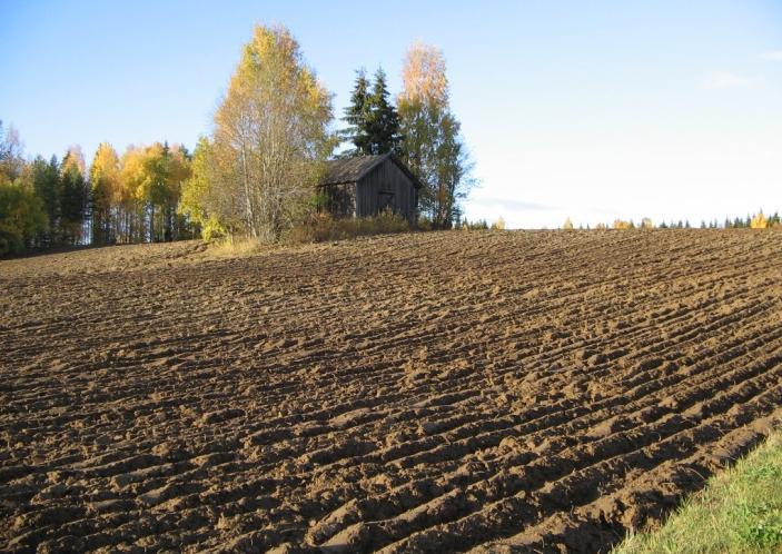 Jord- och skogsbruk De areella näringarna kommer även fortsättningsvis att ha en stor betydelse för kommunen.