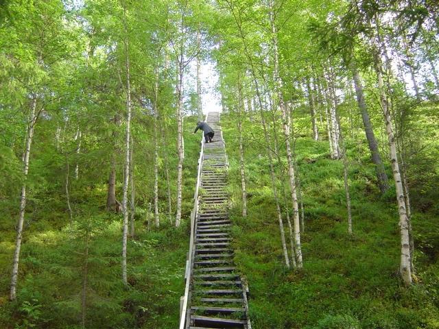 Naturgrusavlagringar med stort värde för dricksvattenförsörjningen ska bevaras. Närheten till järnväg är viktig ur konkurrenssynpunkt. Närmaste järnvägsförbindelser finns i Vännäs och Nordmaling.