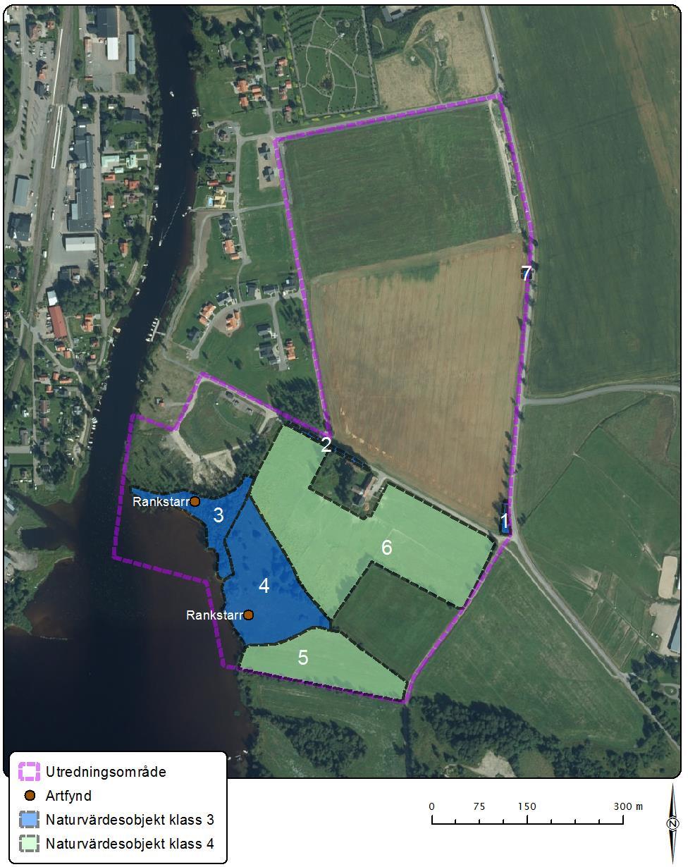 Figur 4. Resultat från naturvärdesinventeringen av Ecocom 2016 med identifierade naturvärdesobjekt.